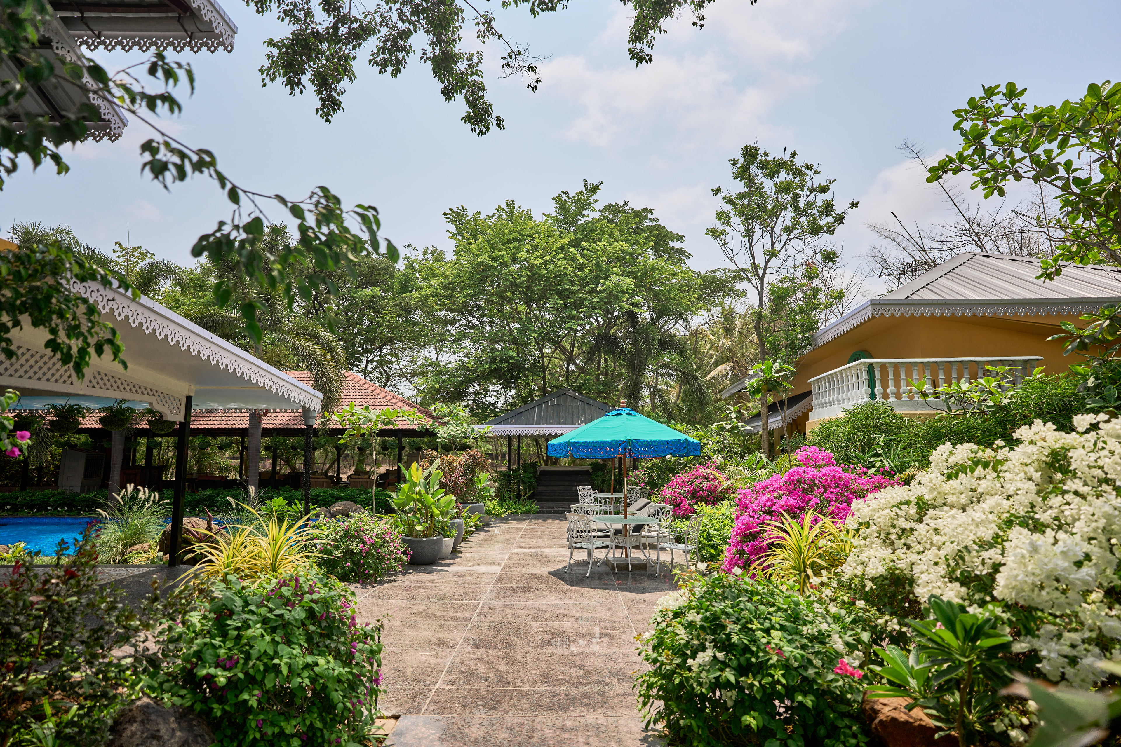 The house and garden
