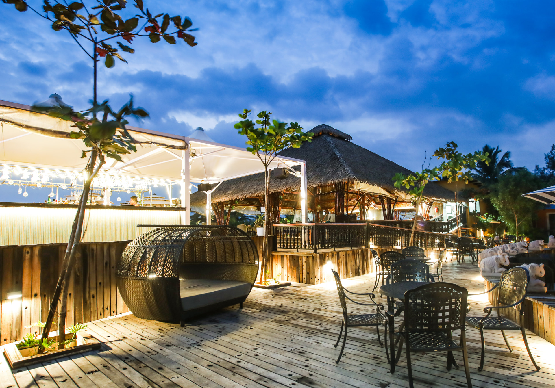 Coy Coi Beach Club at MAYFAIR On Sea, Morjim, Goa