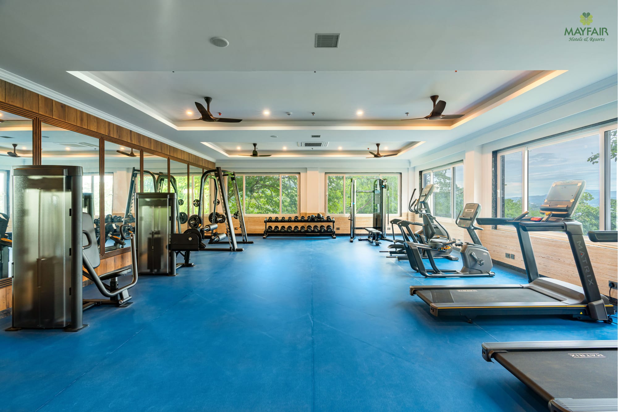 The gymnasium