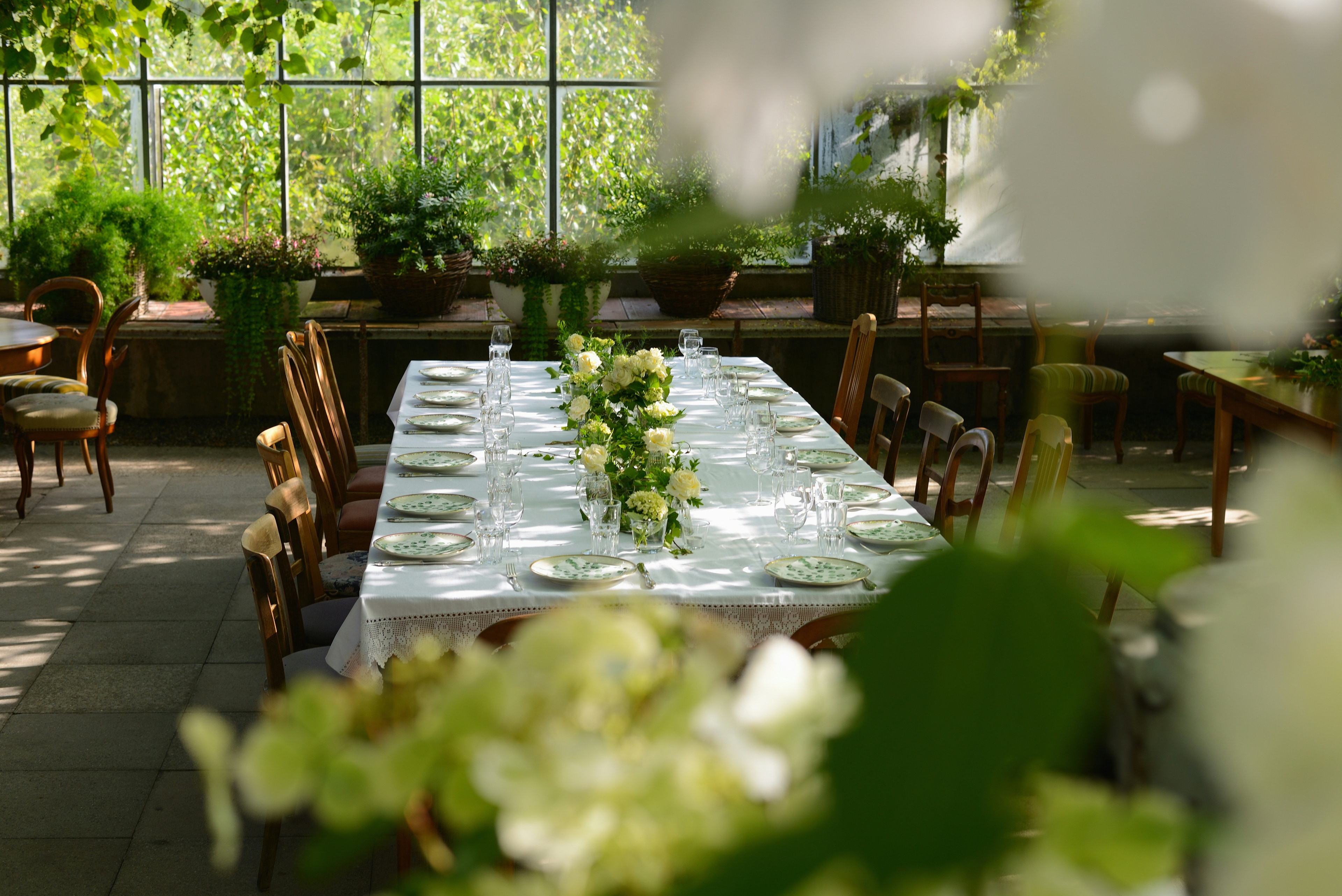 Green House — view 1