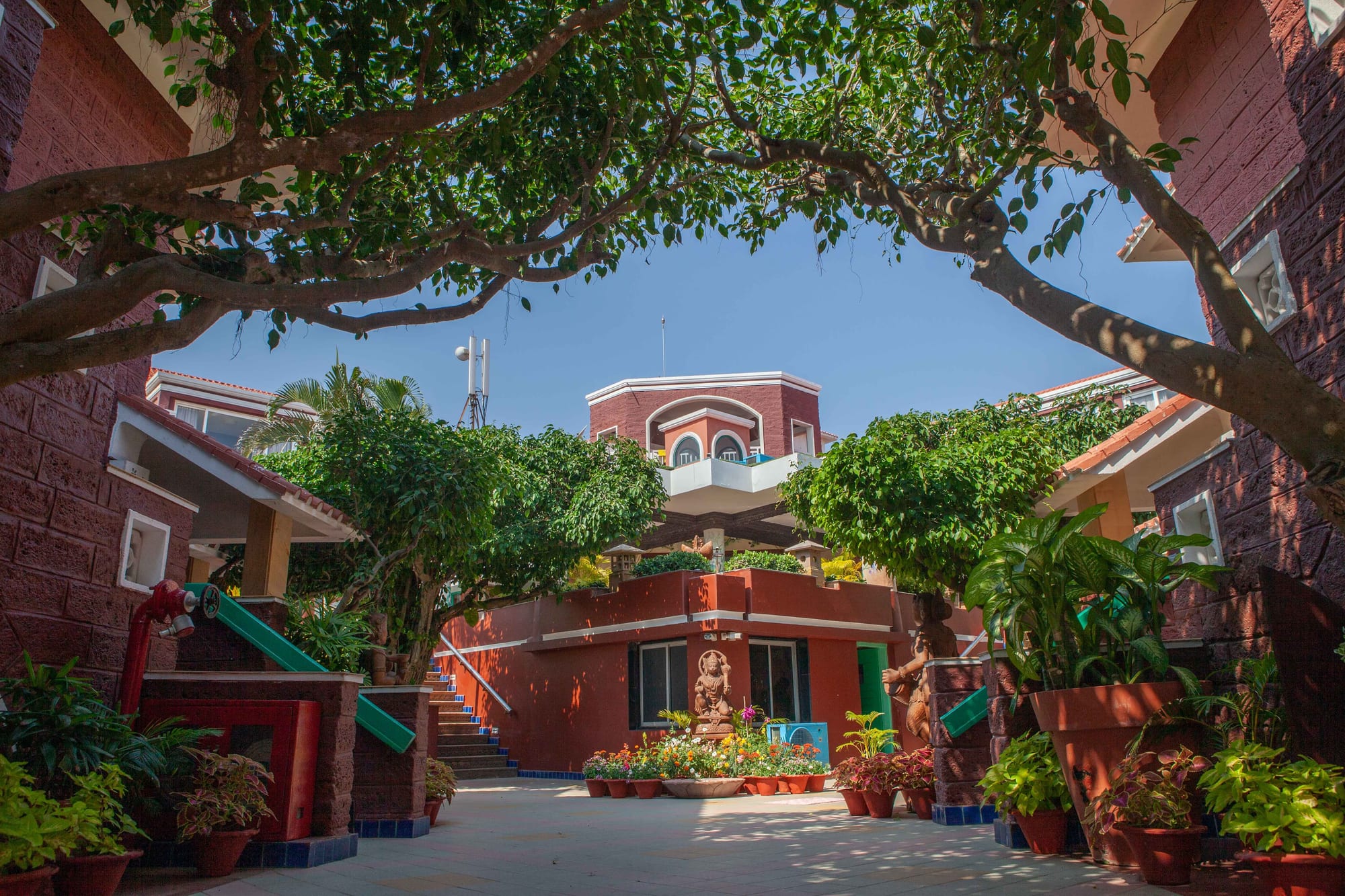 The grounds