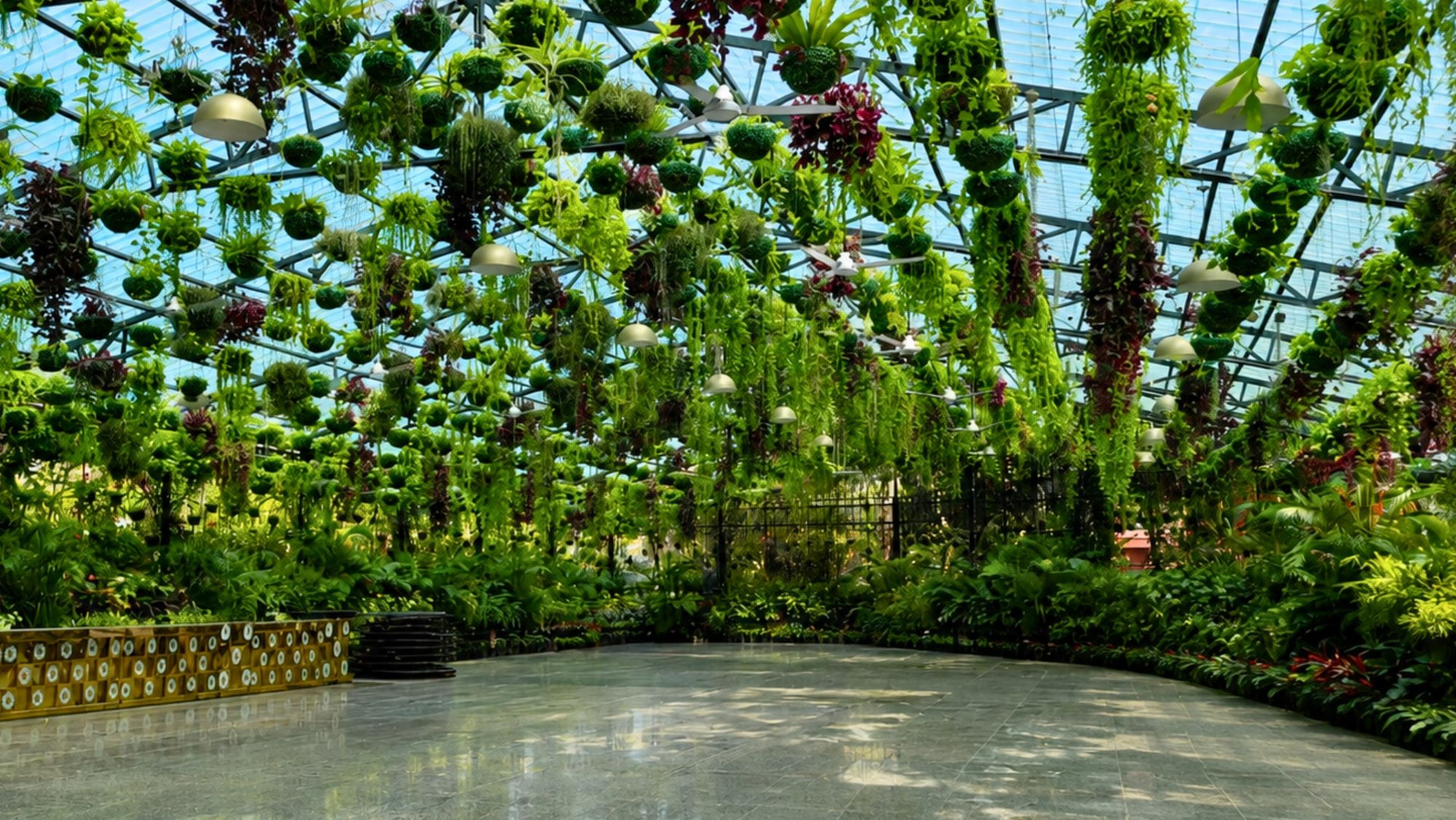 Green House — view 1