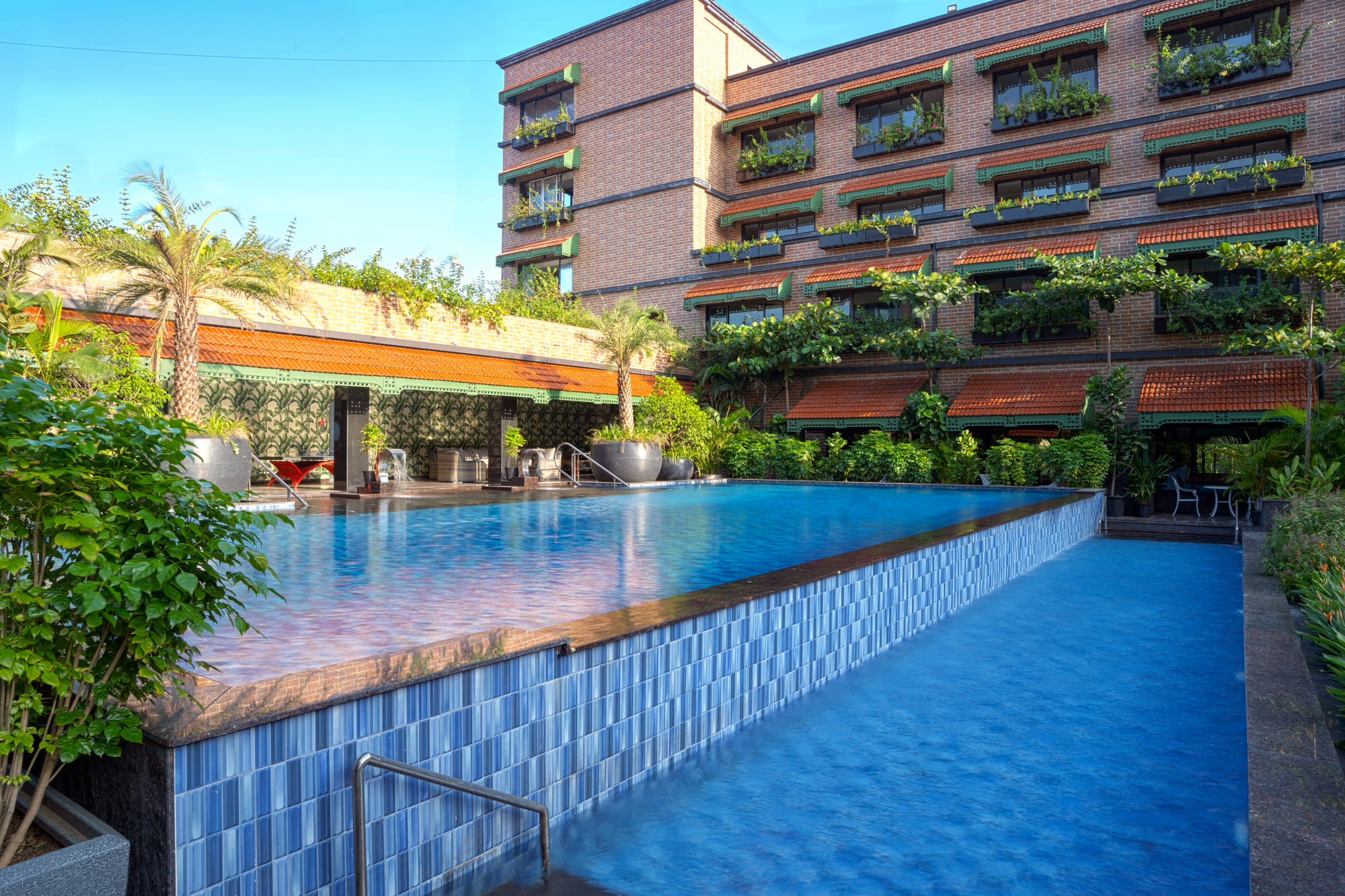 The Tropical Pool