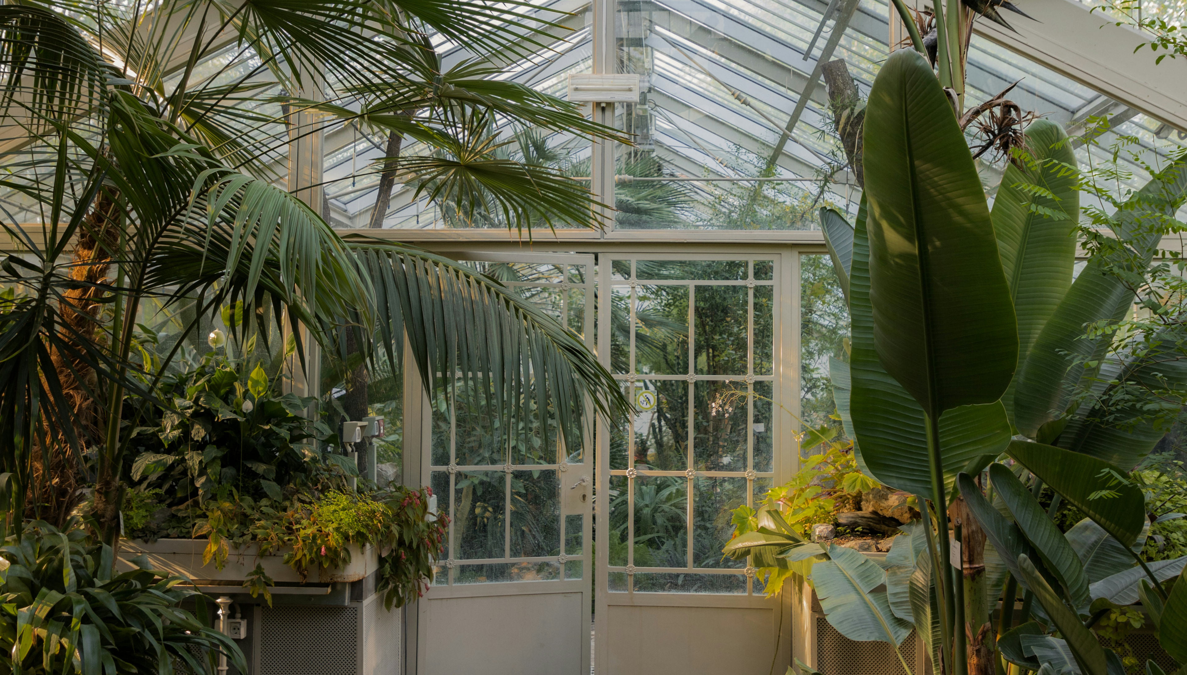 Green House