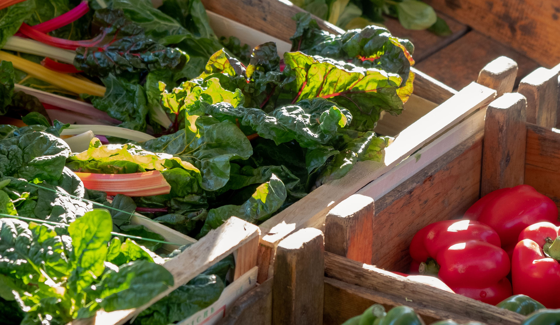 Wooden crates of rainbow chard, spinach and red peppers standing in the sun