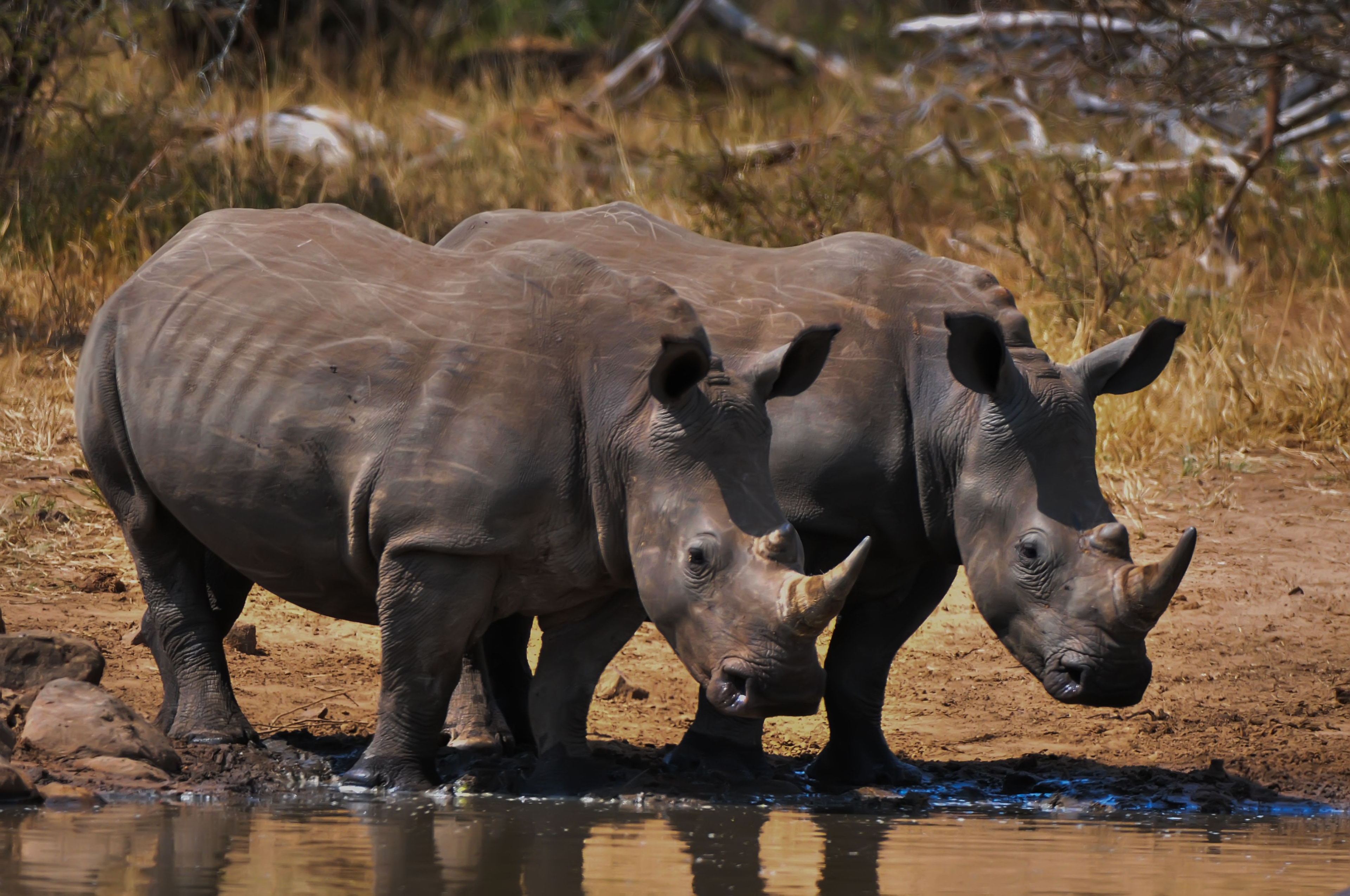 Amchang Wildlife Sanctuary