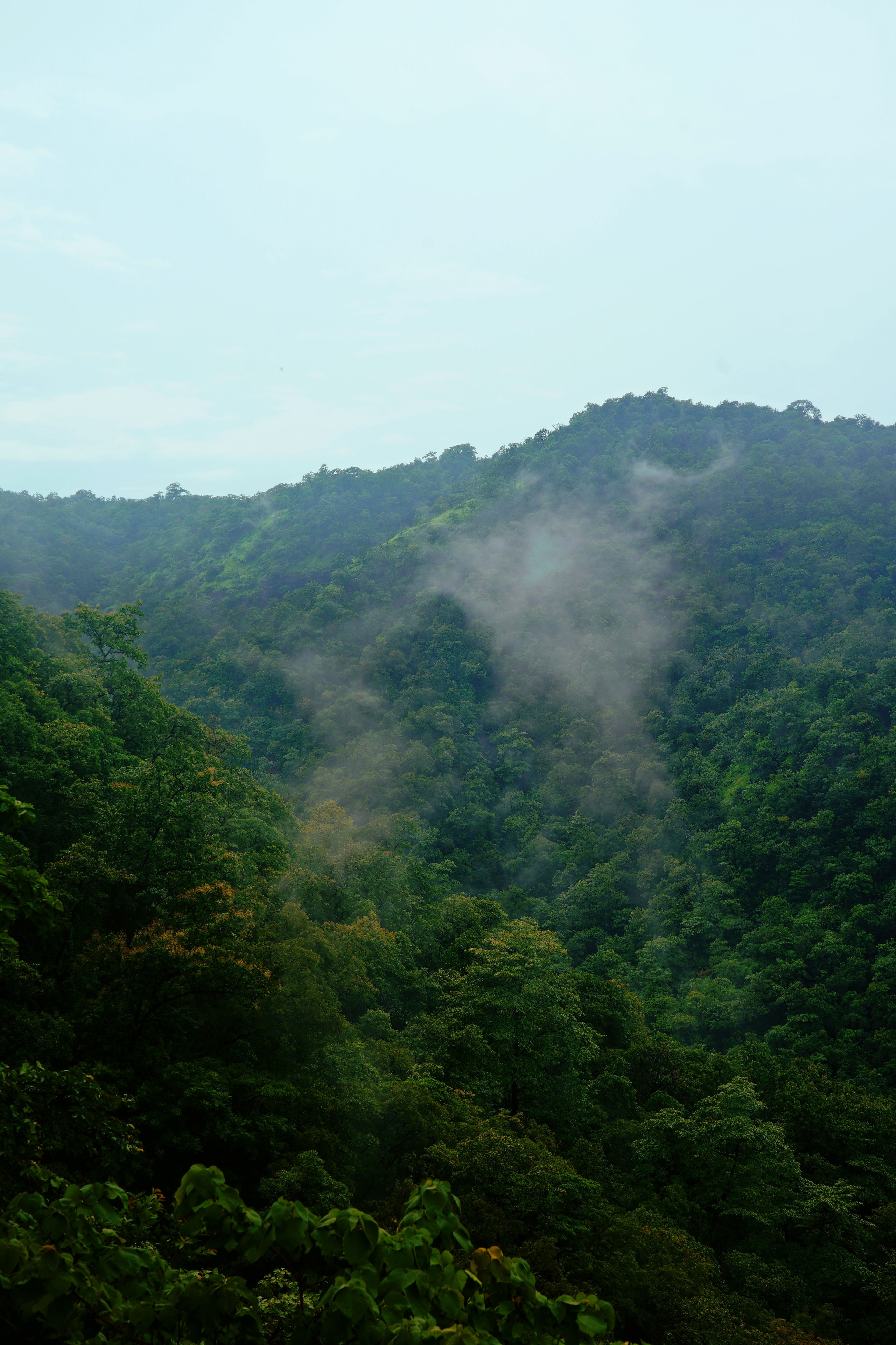 Berbera Hills