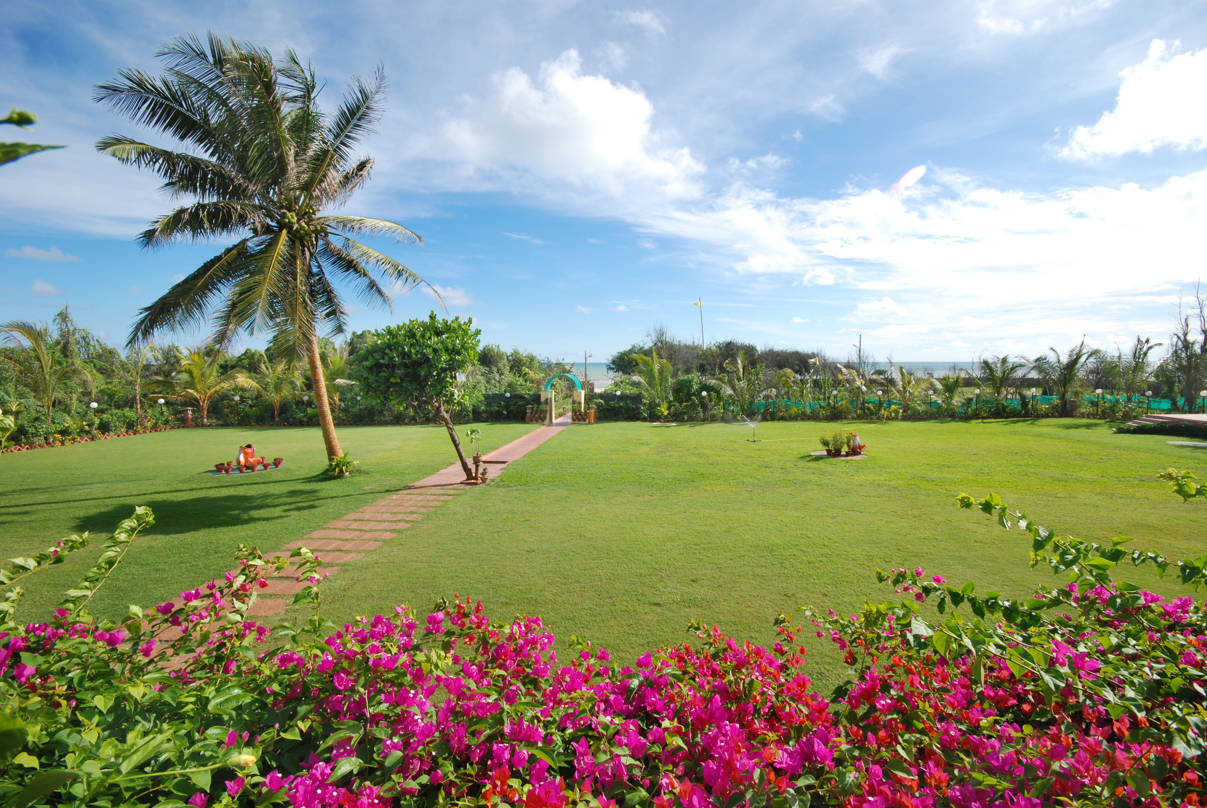 Beach Side Lawn — MAYFAIR Waves